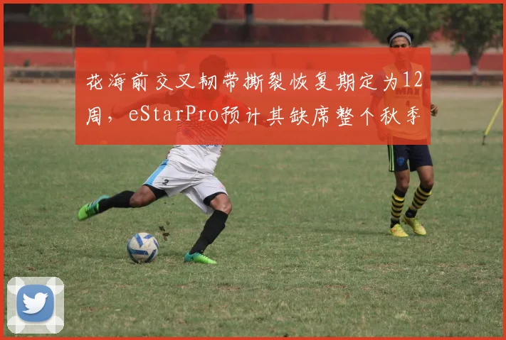 花海前交叉韧带撕裂恢复期定为12周,eStarPro预计其缺席整个秋季赛